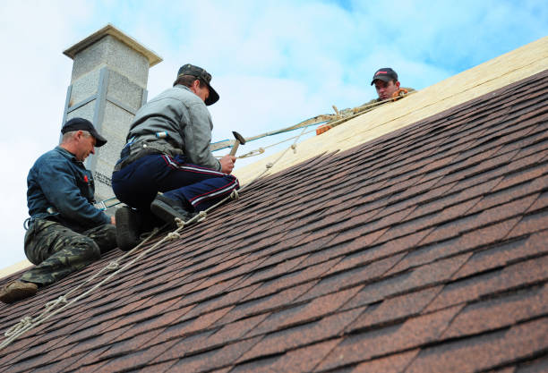 Best Storm Damage Roof Repair  in Tupelo, MS