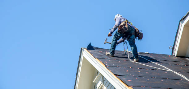 Best Roof Gutter Cleaning  in Tupelo, MS